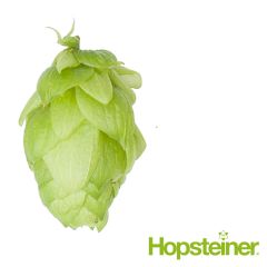 Hopfen Saphir (Hallertau) - 5 kg Dolden
