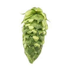 Cryo Hops®-Pellets Simcoe® - 50 g