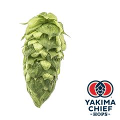 Hopfen Yakima Chief Hops® Simcoe® - 5 kg Dolden