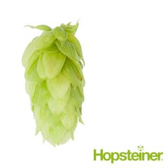 Spalt Spalter Hopfen - 1 kg Pellet T90