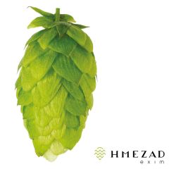 Hopfen Styrian Golding - 5 kg Dolden