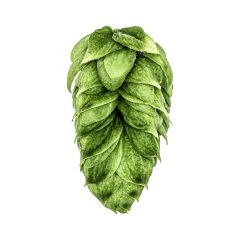 Yakima Chief Hops® Cryo Hops® pellets Talus® - 1 kg