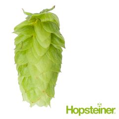 Hopfen Tettnang Tettnanger - 5 kg Dolden