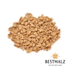 Malz Best Heidelberg Wheat - 1 kg