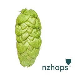 Hopfen Pacific Jade™ - 5 kg Pellets T90