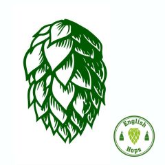 Hopfen Pilgrim - 5 kg Pellets T90