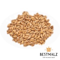 Malz Best Spelt (Farro/Dinkel) - 25 kg