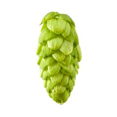 Hopfen Strata - 5 kg Pellets T90