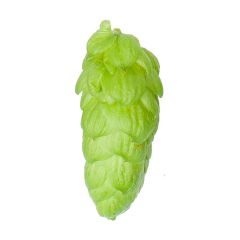 Hopfen Target - 100 g Dolden