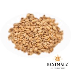 Malz Best Wheat BIO - 25 kg