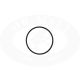 O-Ring für Filterkorb 90°
