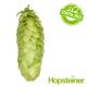 Hopfen Akoya (Hallertau) BIO Hopfen - 5 kg Pellets T90