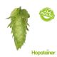 Hopfen Cascade BIO - 5 kg Pellets T90