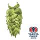 Hopfen Yakima Chief Hops® Idaho 7® - 5 kg Pellets T90