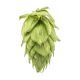 Hopfen Sorachi Ace - 5 kg Pellets T90