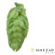 Hopfen Styrian Dragon - 5 kg Pellets T90
