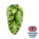 Yakima Chief Hops® Cryo Hops® Talus®-Pellets - 5 kg