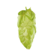 Cryo Hops® pellets Nectaron® - 50 g