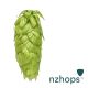 Hopfen Nelson Sauvin™ - 5 kg Pellets T90