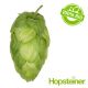 Hopfen Solero BIO - 5 kg Pellets T90