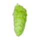 Hopfen Target - 100 g Dolden